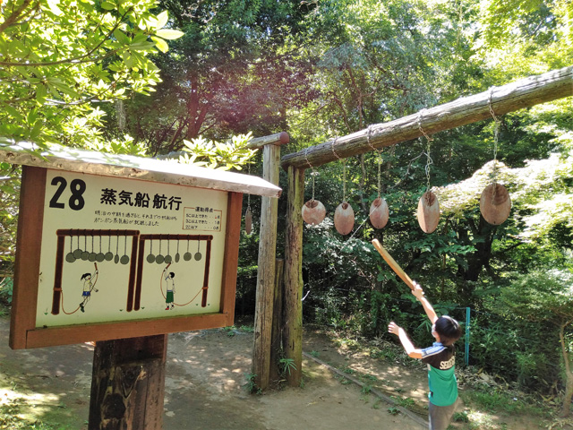 比較的難易度が高くない穏やかなポイントが続く/ありのみコース(千葉県/市川市)