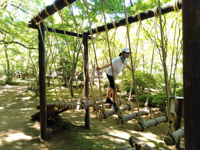 バランスを取るのが難しい「トンボの背わたり」/ありのみコース(千葉県/市川市)