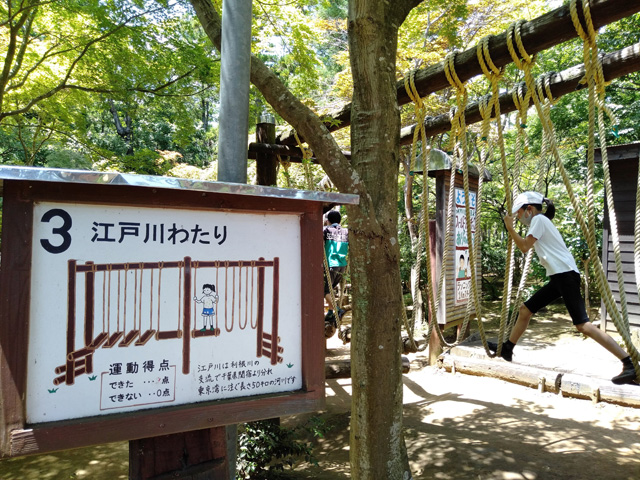 不安定でグラグラ揺れる「江戸川わたり」/ありのみコース(千葉県/市川市)