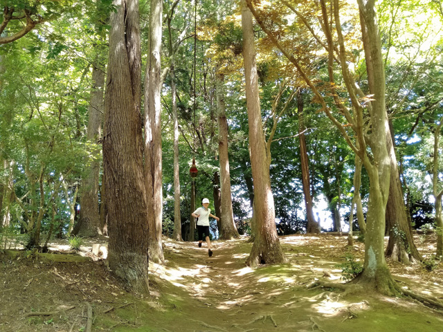 「オオカミ疾走」/ありのみコース(千葉県/市川市)