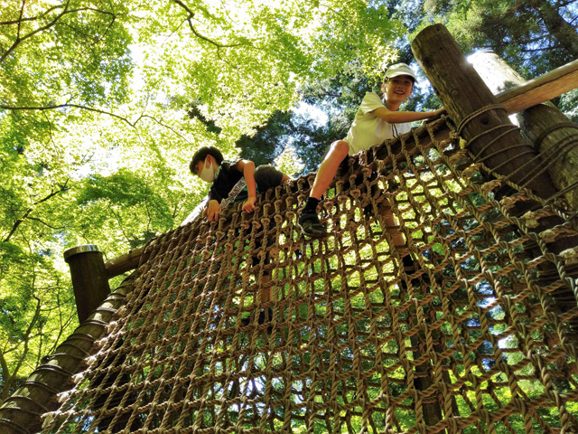 ネットの山「大小・屋根移り」/ありのみコース(千葉県/市川市)