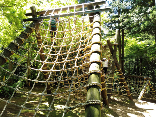 ネットの山「大小・屋根移り」/ありのみコース(千葉県/市川市)