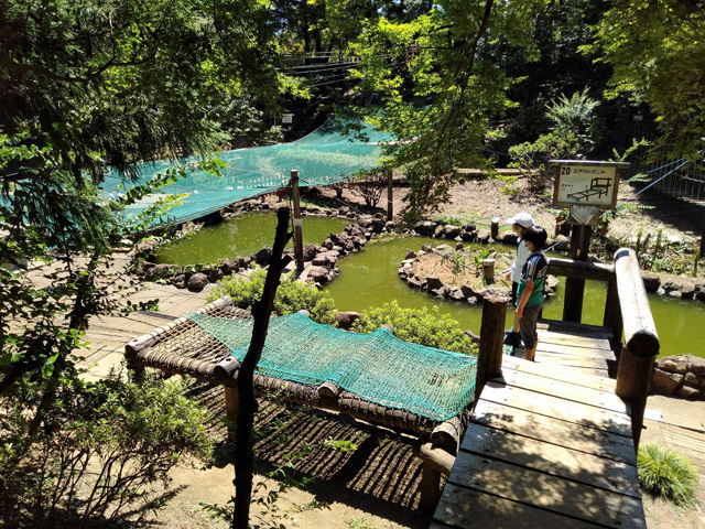 「江戸川とびこみ」/ありのみコース(千葉県/市川市)