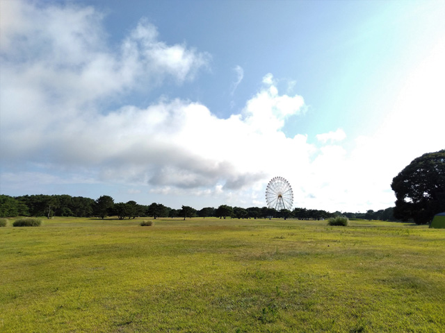 芝生広場/国営ひたち海浜公園(茨城県/ひたちなか市)