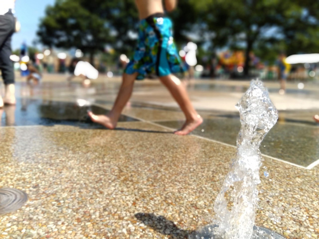 星のデザインの「噴水広場」/国営ひたち海浜公園(茨城県/ひたちなか市)