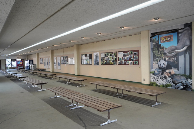 壁の展示/神戸市立王子動物園(兵庫県/神戸市)
