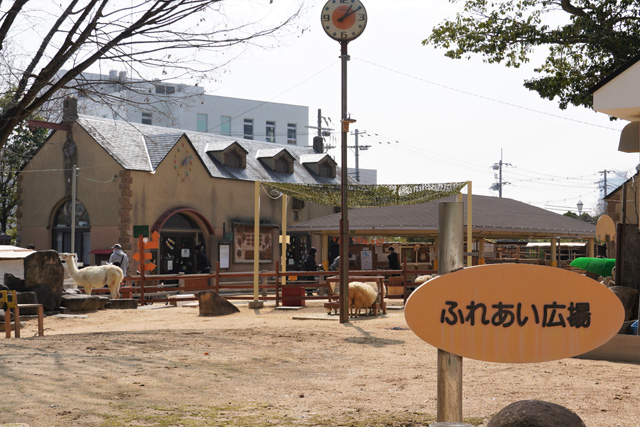 ふれあい広場/神戸市立王子動物園(兵庫県/神戸市)