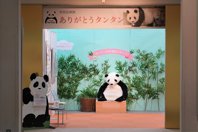 特別企画「ありがとうタンタン展」/神戸市立王子動物園(兵庫県/神戸市)