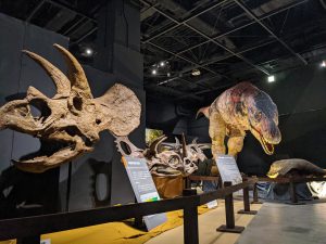 関東 ニュース イベント 子どもとおでかけ 旅行情報 記事一覧 るるぶkids