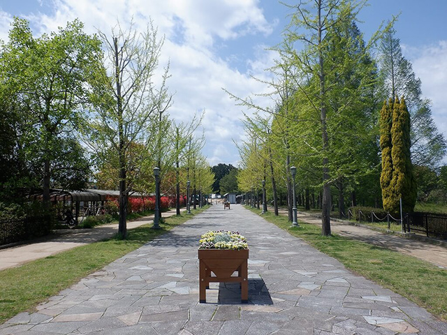草津市ロクハ公園(滋賀県/草津市)