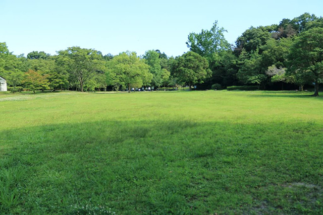 多目的広場/草津市ロクハ公園(滋賀県/草津市)