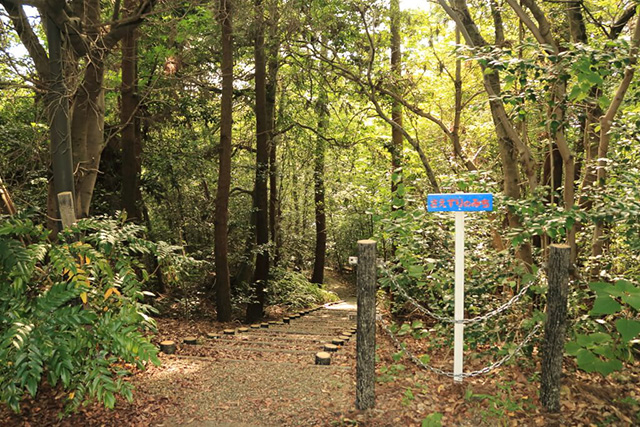 さえずりの道/草津市ロクハ公園(滋賀県/草津市)