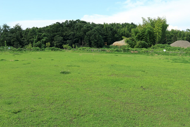 お花見広場/草津市ロクハ公園(滋賀県/草津市)