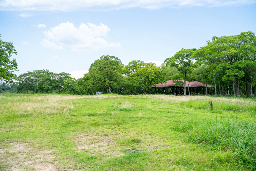「展望広場」/山田池公園(大阪府/枚方市)