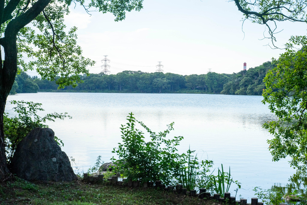 山田池/山田池公園(大阪府/枚方市)