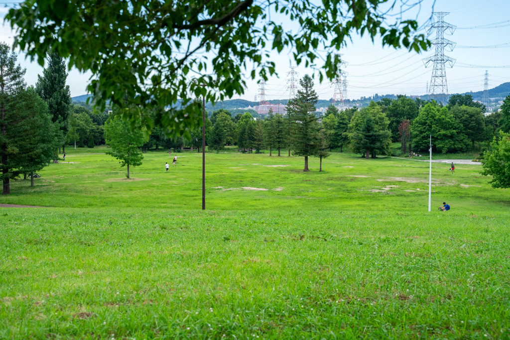 丘の頂上から奥に続く芝生広場を望む景色/山田池公園(大阪府/枚方市)