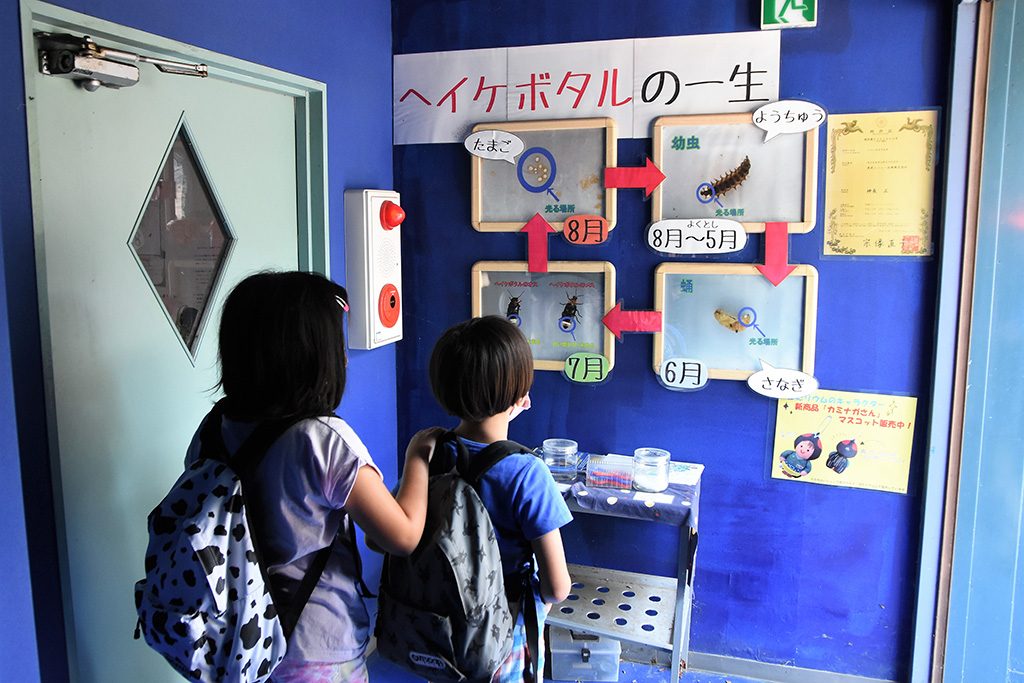東武動物公園の「ほたリウム」館内
