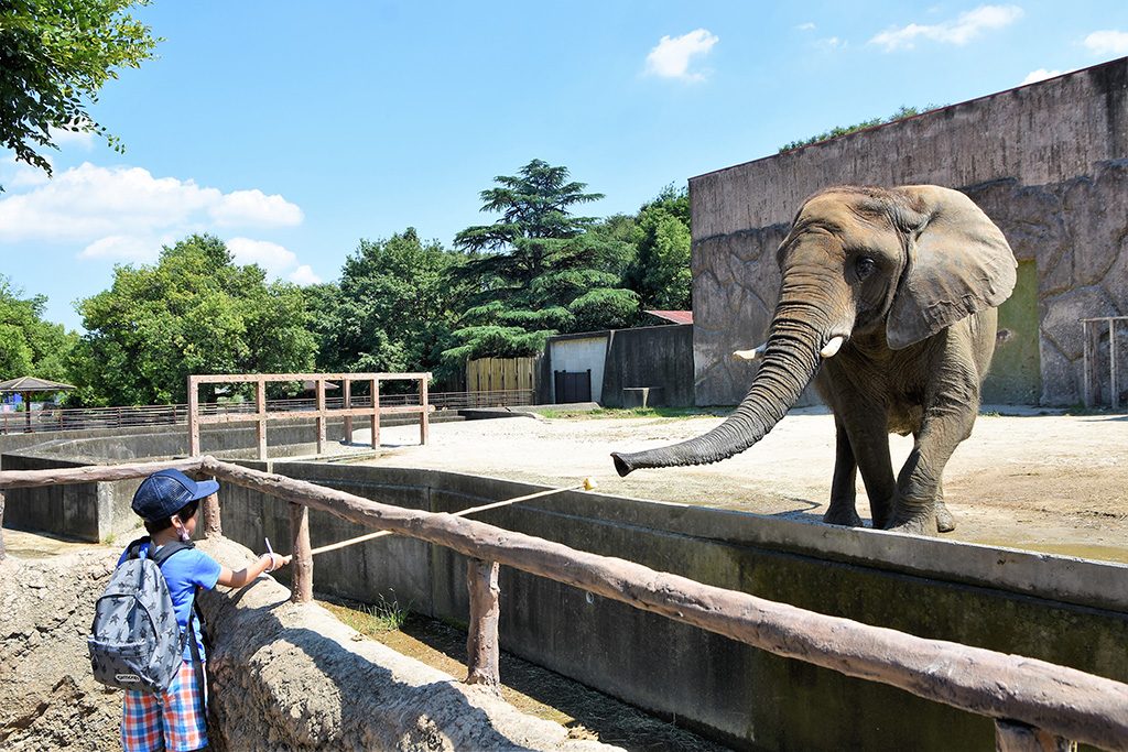東武動物公園