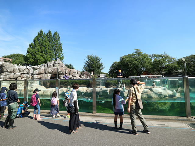 ペンギントークの様子/東武動物公園(埼玉県/宮代町)