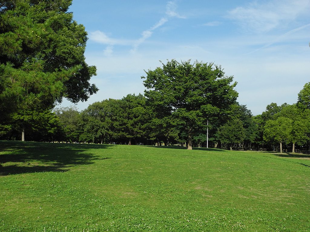 久宝寺緑地(大阪府/八尾市)