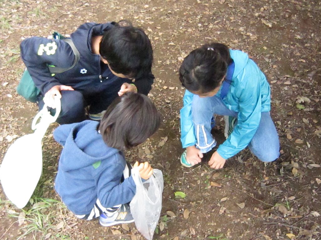 県立三ツ池公園でどんぐりを探す様子(神奈川県/横浜市)