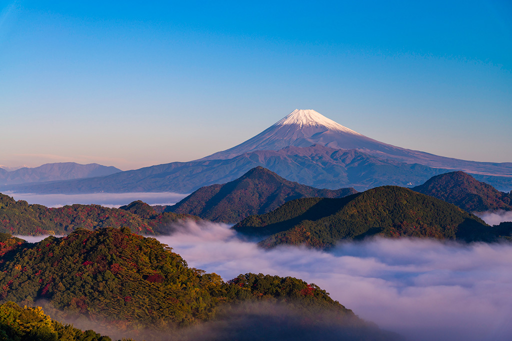 伊豆 子連れ家族旅行のおすすめホテル 10月の人気ランキングtop10 るるぶkids