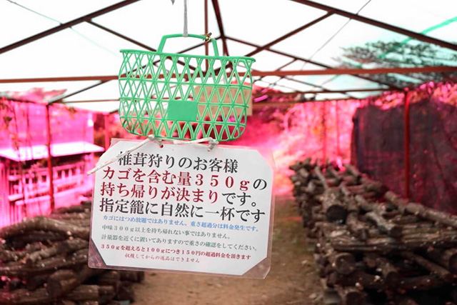 しいたけ小屋/中政園(大阪府/箕面市)
