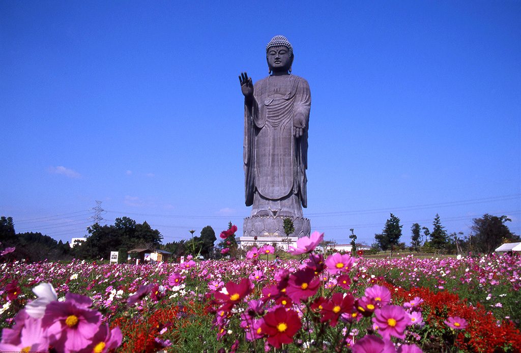 牛久大仏(茨城県/牛久市)