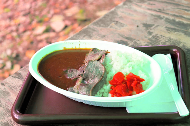 猪肉が入った山賊カレー/中政園(大阪府/箕面市)