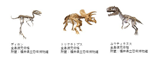 恐竜の骨格標本/ティラノサウルス展│名古屋市科学館(愛知県/名古屋市)