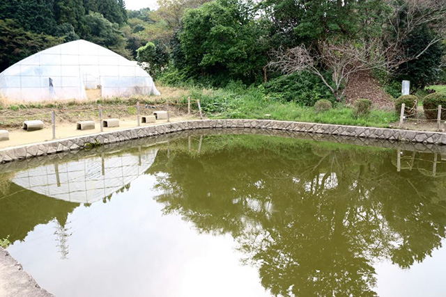 釣り池/農業公園 信貴山のどか村(奈良県/三郷町)