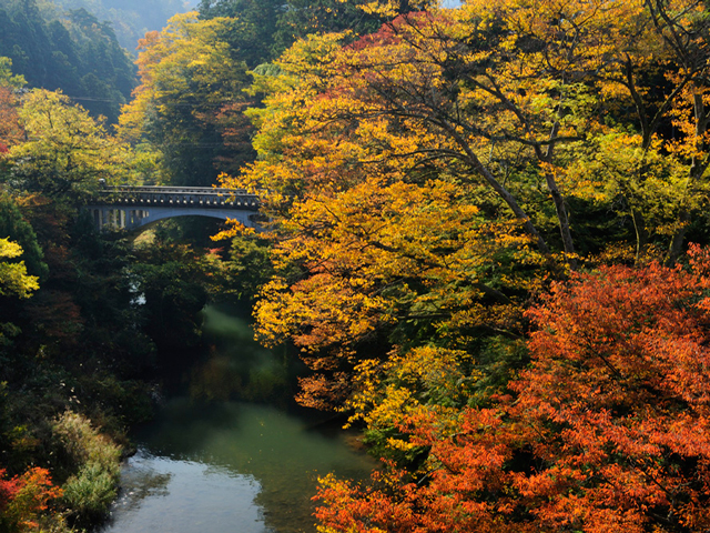 鶴仙渓(石川県/加賀市)