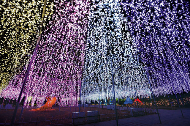 光のふじのはな物語/20th Anniversary 光の花の庭~Flower Fantasy2021~/あしかがフラワーパーク((栃木県/足利市)