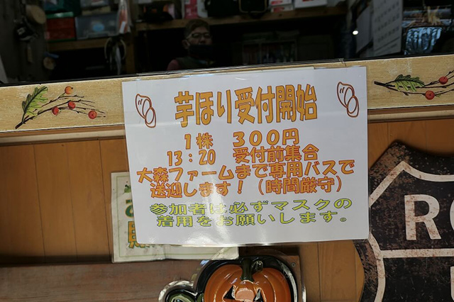 さつまいも掘り受付/大森リゾートキャンプ場(京都府/京都市)