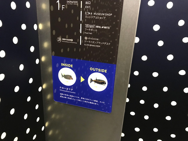 魚の成長について学べる、ユニークなエレベーター/AQUARIUM ✕ ART átoa(兵庫県/神戸市)