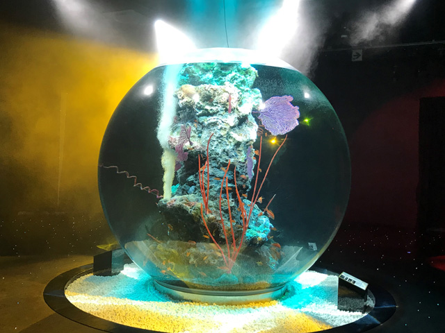 日本最大級の球体水槽が「AQUA UNIVERSE」/AQUARIUM ✕ ART átoa(兵庫県/神戸市)