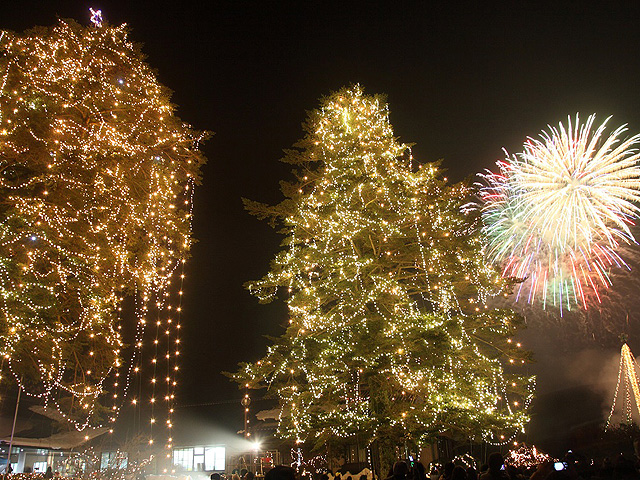 全国クリスマスツリー73選 巨大モミの木 豪華イルミネーション ユニークな演出など るるぶkids 全国クリスマスツリー73選 巨大モミの木 豪華イルミネーション ユニークな演出など るるぶkids