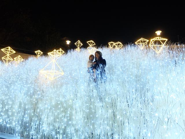 無料も多数 大阪のイルミネーション12選 22 23冬 子連れにおすすめは るるぶkids