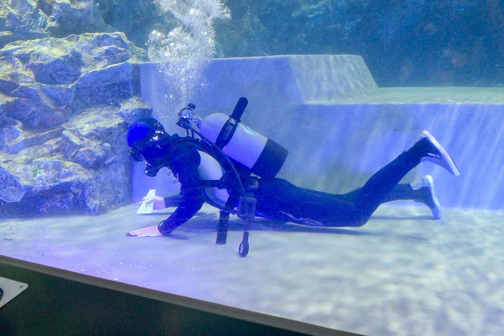 ペンギンプールを掃除する様子/すみだ水族館(東京都/墨田区)