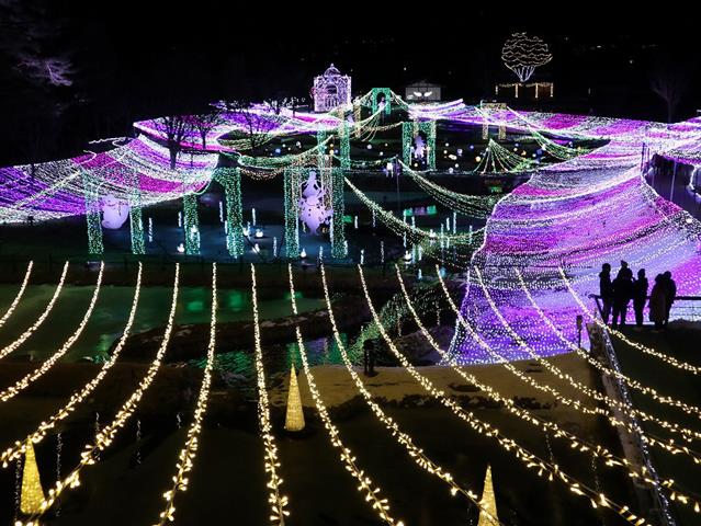 アルプスあづみの公園 Winter Illumination 光の森のページェント(長野県/安曇野市)