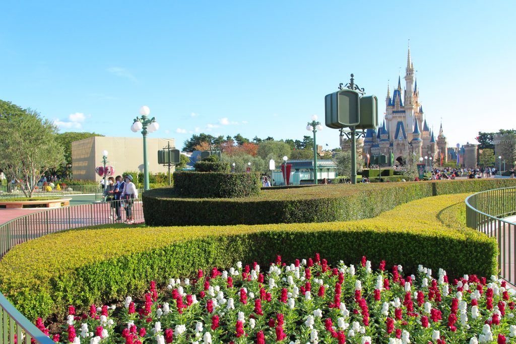 東京ディズニーランドの花畑