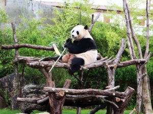 和歌山県 テーマパーク 遊園地 子どもとおでかけ 旅行情報 記事一覧 るるぶkids 和歌山県 テーマパーク 遊園地 子どもとおでかけ 旅行情報 記事一覧 るるぶkids