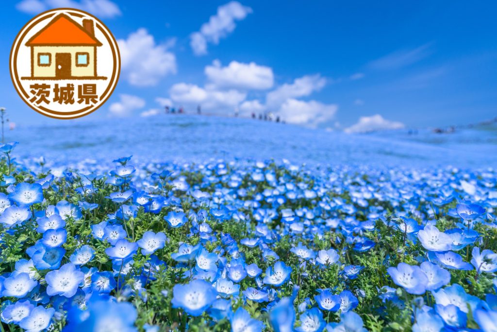茨城県の移住情報まとめ 子育て世代に有益な制度や補助金、市町村別サイトの紹介など