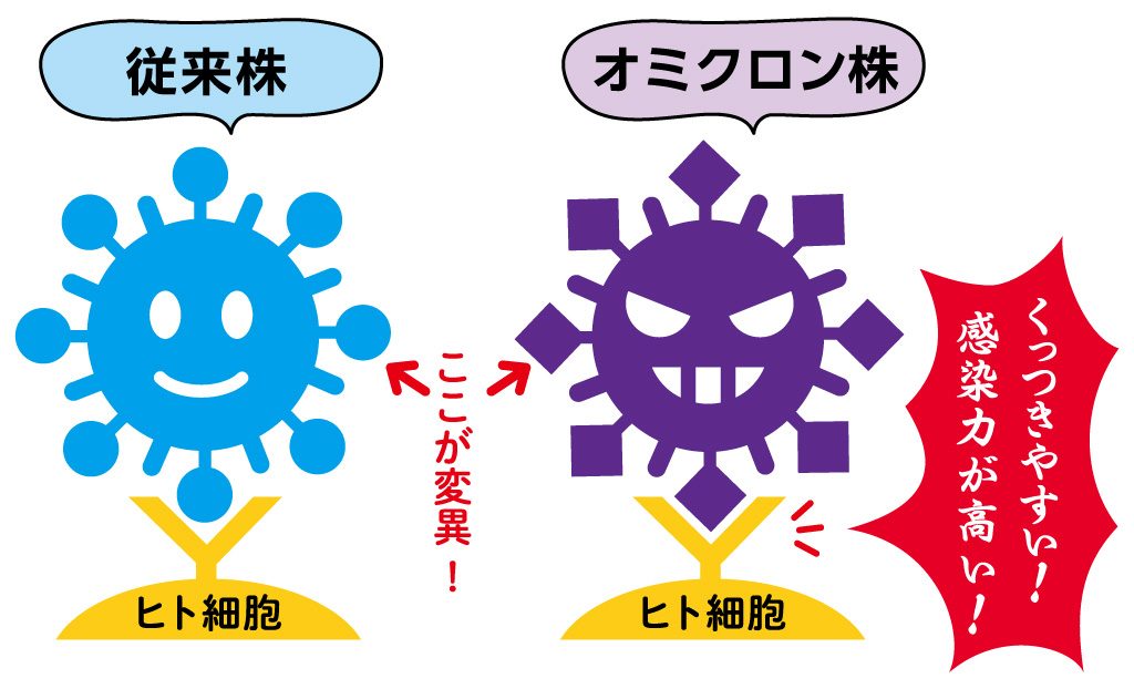 新型コロナ:従来株とオミクロン株の違い