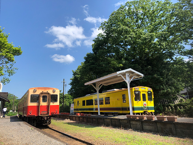 いすみ鉄道と小湊鐵道の車両が並ぶ(千葉県/大多喜町)