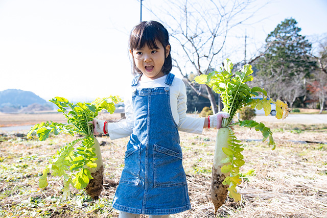 まるがやつファームで収穫体験(千葉県/大多喜町)