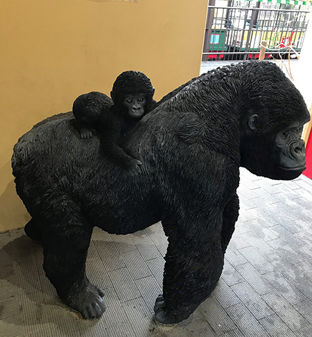 ユニークな撮影スポット/京都市動物園(京都府/京都市)