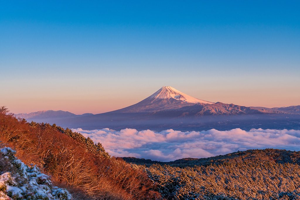 伊豆 子連れ家族旅行のおすすめホテル 2月の人気ランキングtop10 るるぶkids