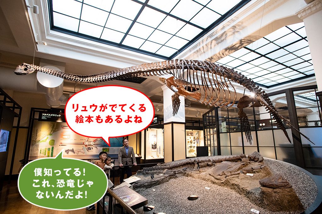 フタバスズキリュウ/国立科学博物館(東京都/台東区)