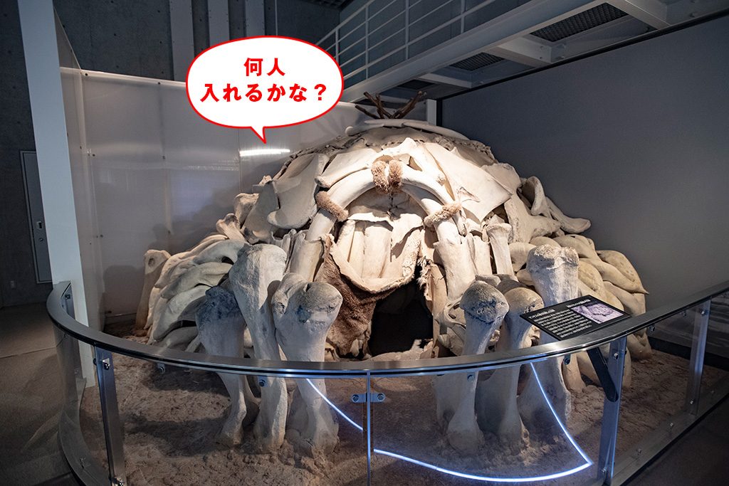 マンモスの骨を利用した住居の復元/国立科学博物館(東京都/台東区)